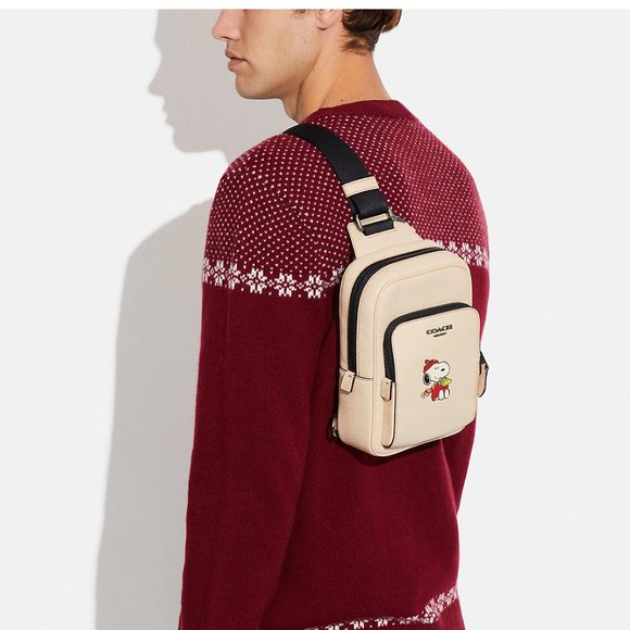 🐶 Coach X Peanuts Track Pack 14 With Snoopy Motif - Picture 4 of 13